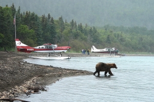 Arrivée en images au Parc National de Katmaï