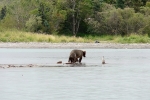 Alaska Katmai  4 1537