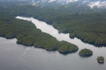 survol Great bear Rainforest 0010 1691