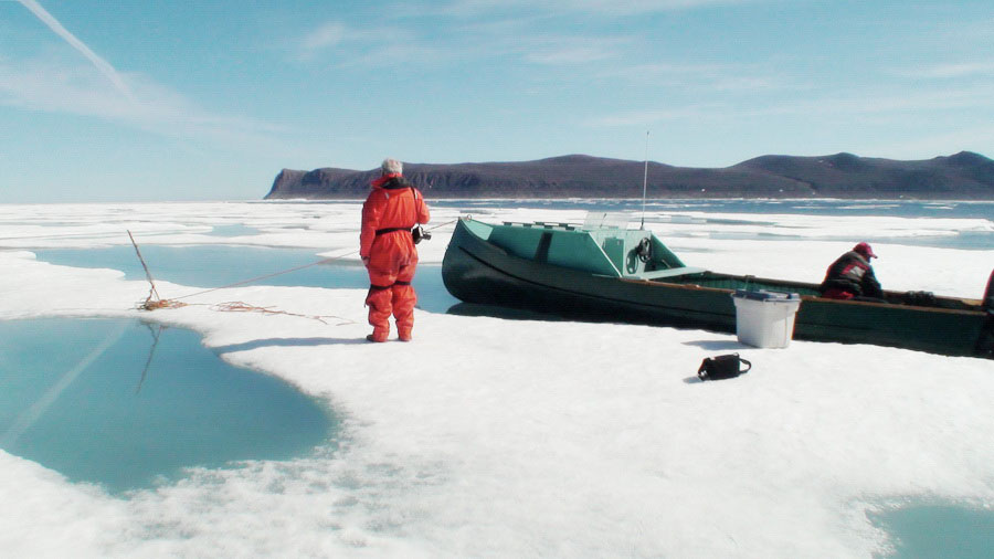 Nunavut, Arctique,  banquise